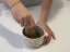 Miska Chawan – Pottery20